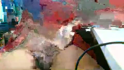 Rocco  aka DaddyRoc online show from 03.01.26