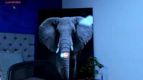 rocco_santos online show from 09.28.25