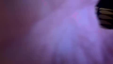rochagil online show from 09.25.25