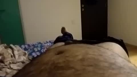 rockikoki online show from 02.09.26