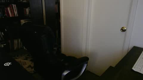 Snapshot of rockydanger chatting on 10.29.25 rockydanger online show from 10.29.25