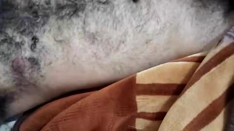 Snapshot of rockyp2025 chatting on 03.03.25 rockyp2025 online show from 03.03.25