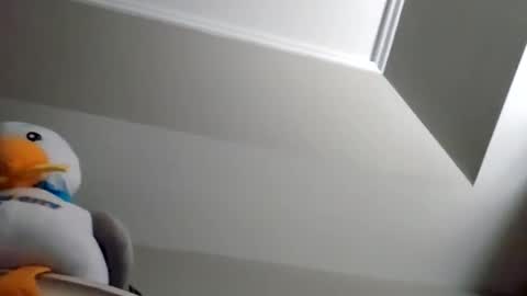 Snapshot of rodbuilttough79 chatting on 11.08.25 rodbuilttough79 online show from 11.08.25