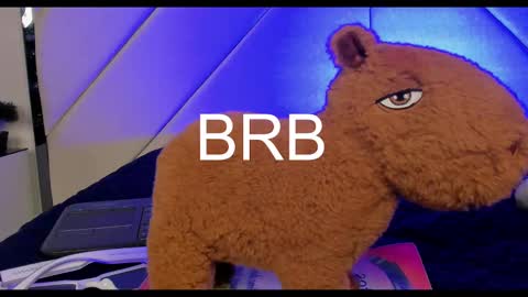 Snapshot of romeo_ricci1 chatting on 12.30.24 Romeo Ricci online show from 12.30.24