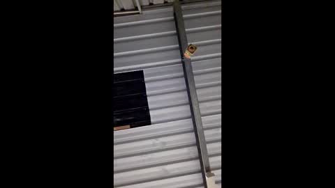 ronabater online show from 01.11.26