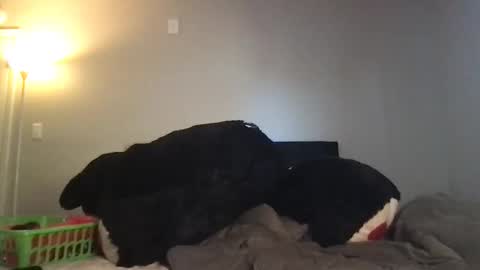 Snapshot of rosielinda16 chatting on 03.03.26 Rosie online show from 03.03.26