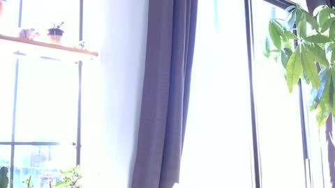 RossCollab online show from 01.19.26