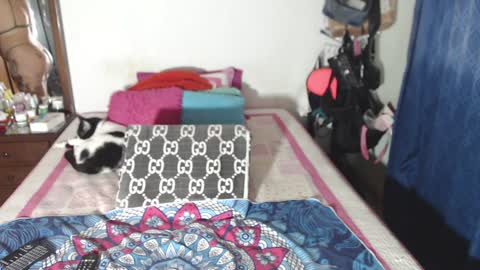 rousse online show from 12.29.24