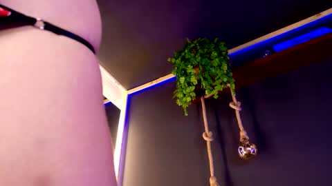 Roxx IG  online show from 11.30.25