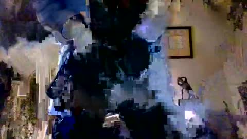 Snapshot of royboy2561 chatting on 10.12.25 Roy Murrin online show from 10.12.25