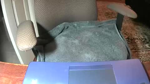 Lookingaround online show from 06.22.26