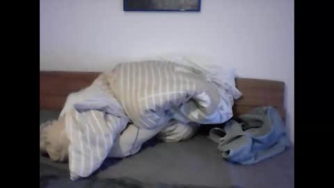 Snapshot of rudolf28 chatting on 04.01.26 rudolf28 online show from 04.01.26