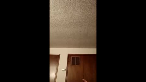 rwcat3006 online show from 04.11.26