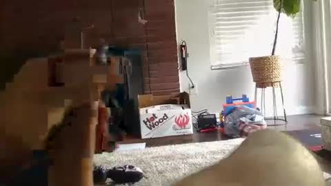 Snapshot of ryanbobby88 chatting on 09.27.25 ryanbobby88 online show from 09.27.25