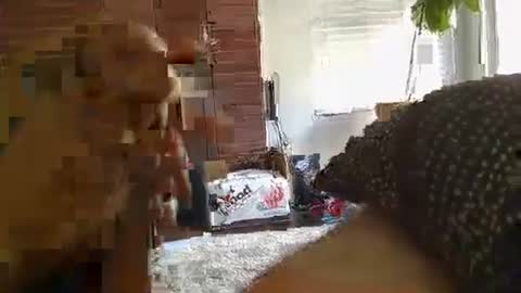 Snapshot of ryanbobby88 chatting on 09.28.25 ryanbobby88 online show from 09.28.25