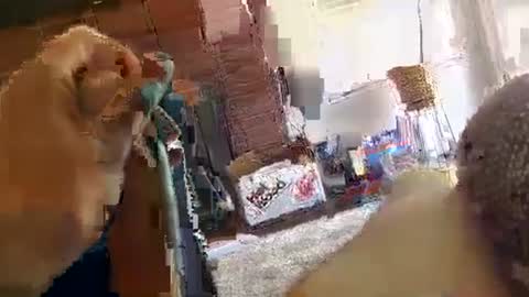 Snapshot of ryanbobby88 chatting on 09.29.25 ryanbobby88 online show from 09.29.25