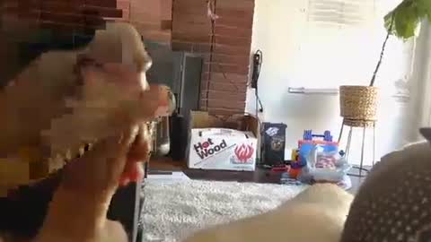 Snapshot of ryanbobby88 chatting on 10.01.25 ryanbobby88 online show from 10.01.25