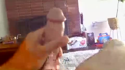 Snapshot of ryanbobby88 chatting on 10.16.25 ryanbobby88 online show from 10.16.25