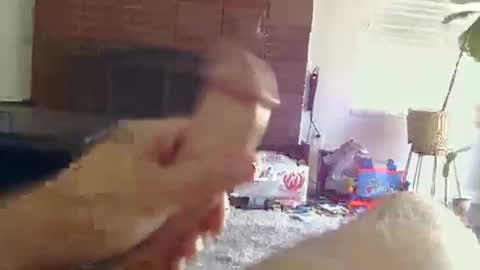 Snapshot of ryanbobby88 chatting on 10.31.25 ryanbobby88 online show from 10.31.25