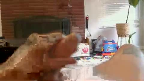 Snapshot of ryanbobby88 chatting on 11.01.25 ryanbobby88 online show from 11.01.25