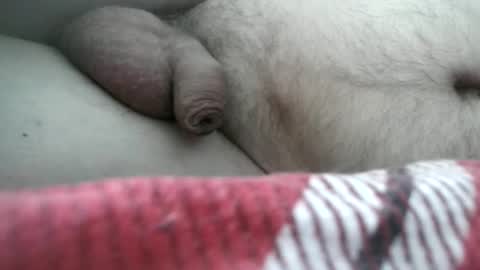 arte online show from 02.24.26