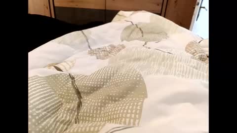 s_xp__ online show from 12.19.25