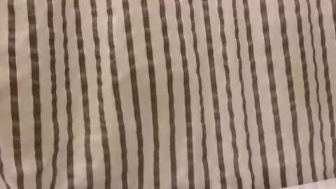 Dee online show from 10.29.25