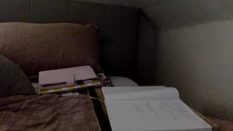 Snapshot of saggy888 chatting on 09.28.25 MistressLady online show from 09.28.25