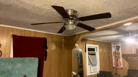 PupTwink online show from 10.10.25