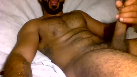 SD17 online show from 01.31.25