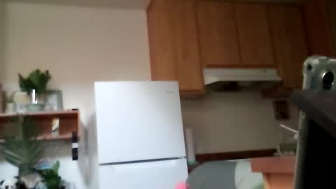 salis1981 online show from 10.13.25