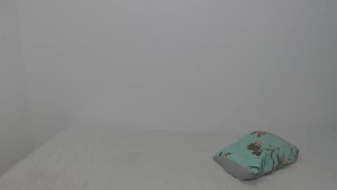 Snapshot of sallomeh_ chatting on 02.19.26 sallomeh_ online show from 02.19.26