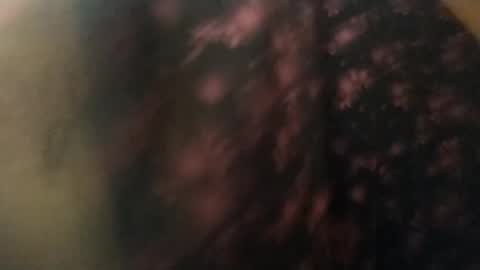 Snapshot of salmonman1305 chatting on 01.17.25 salmonman1305 online show from 01.17.25