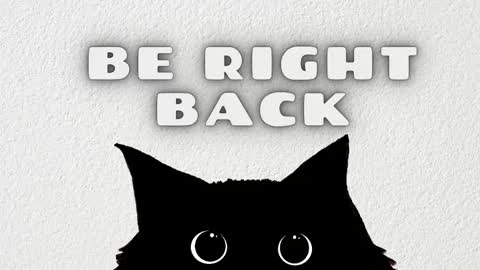 Salome online show from 02.15.26