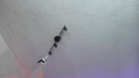 SALOME online show from 04.13.26