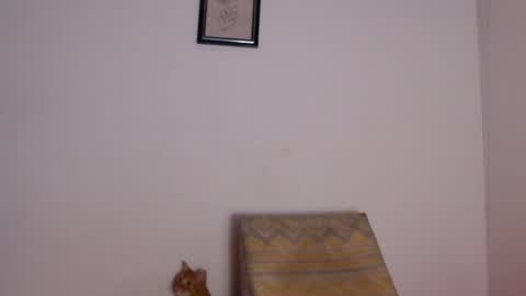 salvatore_amator online show from 04.26.26