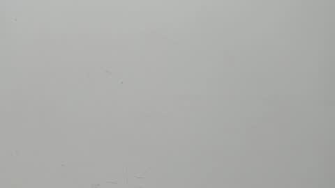 SALVATORE online show from 02.06.25