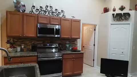 Snapshot of sam_papithebarber chatting on 11.06.25 sam_papithebarber online show from 11.06.25