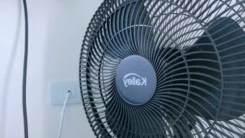   online show from 11.20.25