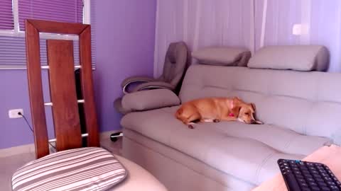 sam online show from 12.02.24