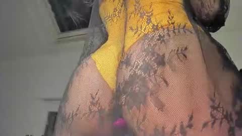 Samar Layali online show from 01.21.25