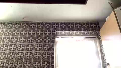 samegee online show from 09.18.25