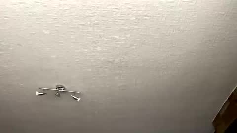 samegee online show from 10.01.25