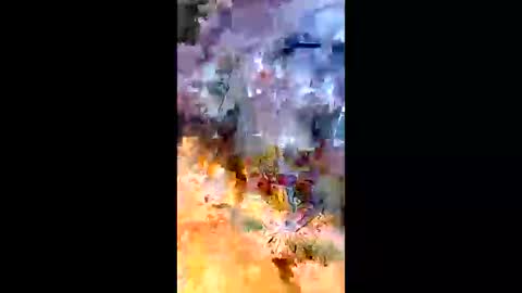 sameroptike67 online show from 04.20.26