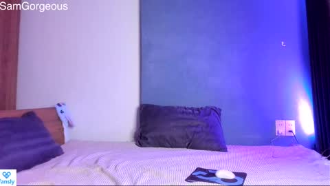 Snapshot of samgorgeous chatting on 12.14.24 Fansly - Top4fans online show from 12.14.24