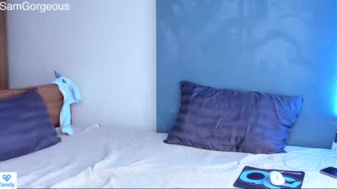 Snapshot of samgorgeous chatting on 01.28.25 Fansly - Top4fans online show from 01.28.25