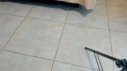 Snapshot of sammybrunette1 chatting on 11.02.25 Axel online show from 11.02.25