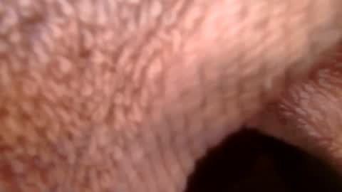 samueltal online show from 02.21.26