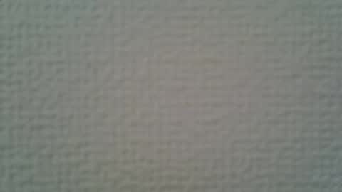 ssk online show from 04.05.26