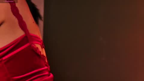 Snapshot of sandrasilverx chatting on 10.11.25 Sandra online show from 10.11.25